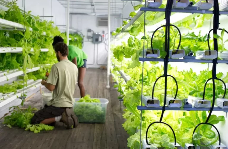 Shipping Containers May Solve the Food Desert Problem